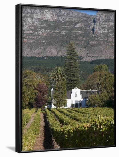 Buitenverwachting Wine Farm, Constantia, Cape Province, South Africa, Africa-Sergio Pitamitz-Framed Photographic Print