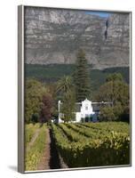 Buitenverwachting Wine Farm, Constantia, Cape Province, South Africa, Africa-Sergio Pitamitz-Framed Photographic Print