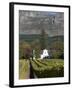 Buitenverwachting Wine Farm, Constantia, Cape Province, South Africa, Africa-Sergio Pitamitz-Framed Photographic Print