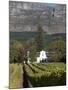 Buitenverwachting Wine Farm, Constantia, Cape Province, South Africa, Africa-Sergio Pitamitz-Mounted Photographic Print
