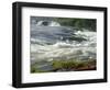 Bujagali Falls, Victoria Nile, Uganda, East Africa, Africa-Groenendijk Peter-Framed Photographic Print