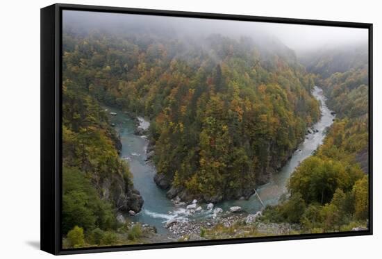 Buk Sokolovina (Cascade) in Beech Forest, Tara Canyon, Durmitor Np, Montenegro, October 2008-Radisics-Framed Stretched Canvas