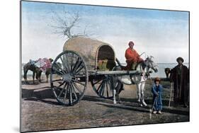 Bukhara Wagon, Uzbekistan, C1890-Gillot-Mounted Giclee Print