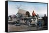 Bukhara Wagon, Uzbekistan, C1890-Gillot-Framed Stretched Canvas