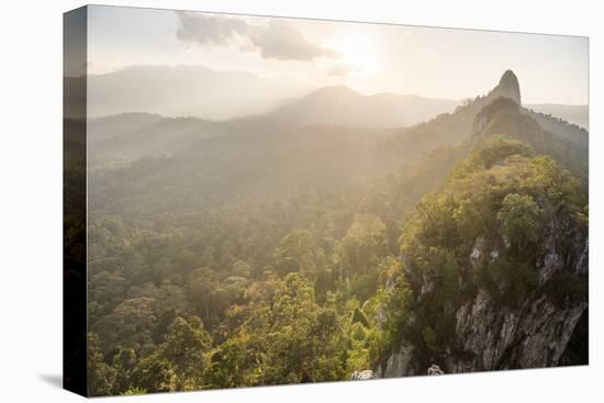 Bukit Tabur Mountain at sunrise, Kuala Lumpur, Malaysia, Southeast Asia, Asia-Matthew Williams-Ellis-Stretched Canvas