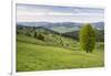 Bukovina Region (Bucovina) Landscape at Paltinu, Romania, Europe-Matthew Williams-Ellis-Framed Photographic Print