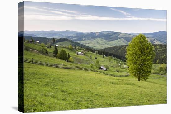 Bukovina Region (Bucovina) Landscape at Paltinu, Romania, Europe-Matthew Williams-Ellis-Stretched Canvas