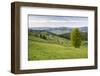 Bukovina Region (Bucovina) Landscape at Paltinu, Romania, Europe-Matthew Williams-Ellis-Framed Photographic Print