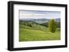 Bukovina Region (Bucovina) Landscape at Paltinu, Romania, Europe-Matthew Williams-Ellis-Framed Photographic Print