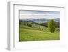 Bukovina Region (Bucovina) Landscape at Paltinu, Romania, Europe-Matthew Williams-Ellis-Framed Photographic Print