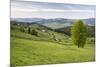 Bukovina Region (Bucovina) Landscape at Paltinu, Romania, Europe-Matthew Williams-Ellis-Mounted Photographic Print