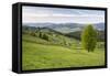 Bukovina Region (Bucovina) Landscape at Paltinu, Romania, Europe-Matthew Williams-Ellis-Framed Stretched Canvas