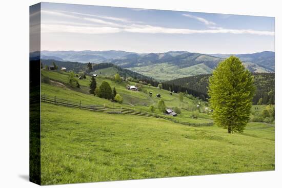 Bukovina Region (Bucovina) Landscape at Paltinu, Romania, Europe-Matthew Williams-Ellis-Stretched Canvas