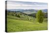 Bukovina Region (Bucovina) Landscape at Paltinu, Romania, Europe-Matthew Williams-Ellis-Stretched Canvas