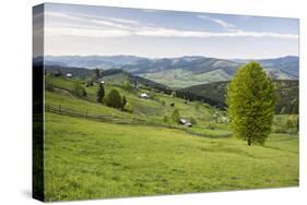 Bukovina Region (Bucovina) Landscape at Paltinu, Romania, Europe-Matthew Williams-Ellis-Stretched Canvas