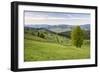 Bukovina Region (Bucovina) Landscape at Paltinu, Romania, Europe-Matthew Williams-Ellis-Framed Photographic Print