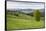 Bukovina Region (Bucovina) Landscape at Paltinu, Romania, Europe-Matthew Williams-Ellis-Framed Stretched Canvas