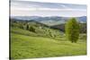 Bukovina Region (Bucovina) Landscape at Paltinu, Romania, Europe-Matthew Williams-Ellis-Stretched Canvas