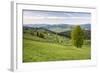 Bukovina Region (Bucovina) Landscape at Paltinu, Romania, Europe-Matthew Williams-Ellis-Framed Photographic Print