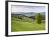 Bukovina Region (Bucovina) Landscape at Paltinu, Romania, Europe-Matthew Williams-Ellis-Framed Photographic Print