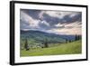 Bukovina Region (Bucovina) Landscape at Sunset, Paltinu, Romania, Europe-Matthew Williams-Ellis-Framed Photographic Print