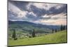 Bukovina Region (Bucovina) Landscape at Sunset, Paltinu, Romania, Europe-Matthew Williams-Ellis-Mounted Photographic Print