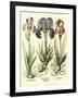 Bulb Garden I-Besler Basilius-Framed Art Print