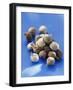 Bulbs-Eising Studio - Food Photo and Video-Framed Photographic Print