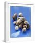 Bulbs-Eising Studio - Food Photo and Video-Framed Photographic Print