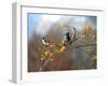 Bulbul-null-Framed Photographic Print