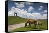 Bulgaria, Central Mts, Troyan, Troyan Pass, Battle Monument and Horses-Walter Bibikow-Framed Stretched Canvas
