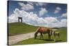 Bulgaria, Central Mts, Troyan, Troyan Pass, Battle Monument and Horses-Walter Bibikow-Stretched Canvas