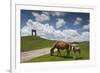 Bulgaria, Central Mts, Troyan, Troyan Pass, Battle Monument and Horses-Walter Bibikow-Framed Photographic Print