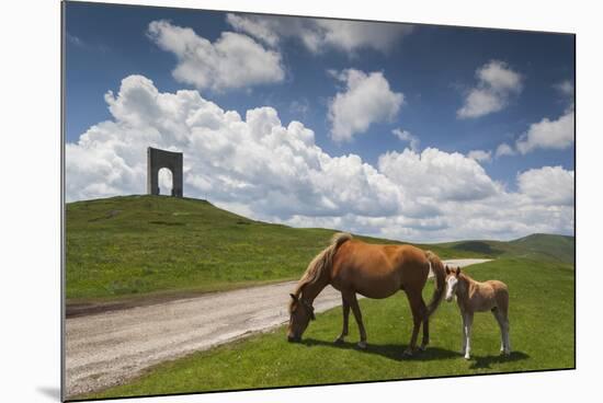 Bulgaria, Central Mts, Troyan, Troyan Pass, Battle Monument and Horses-Walter Bibikow-Mounted Photographic Print