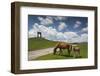 Bulgaria, Central Mts, Troyan, Troyan Pass, Battle Monument and Horses-Walter Bibikow-Framed Photographic Print