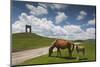 Bulgaria, Central Mts, Troyan, Troyan Pass, Battle Monument and Horses-Walter Bibikow-Mounted Photographic Print