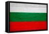 Bulgaria Flag Design with Wood Patterning - Flags of the World Series-Philippe Hugonnard-Framed Stretched Canvas