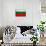 Bulgaria Flag Design with Wood Patterning - Flags of the World Series-Philippe Hugonnard-Art Print displayed on a wall