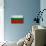 Bulgaria Flag Design with Wood Patterning - Flags of the World Series-Philippe Hugonnard-Art Print displayed on a wall