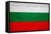 Bulgaria Flag Design with Wood Patterning - Flags of the World Series-Philippe Hugonnard-Framed Stretched Canvas