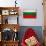 Bulgaria Flag Design with Wood Patterning - Flags of the World Series-Philippe Hugonnard-Art Print displayed on a wall