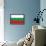 Bulgaria National Flag Poster Print-null-Framed Poster displayed on a wall