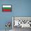 Bulgaria National Flag Poster Print-null-Framed Poster displayed on a wall
