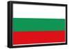 Bulgaria National Flag Poster Print-null-Framed Poster