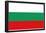 Bulgaria National Flag Poster Print-null-Framed Poster
