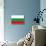 Bulgaria National Flag Poster Print-null-Mounted Poster displayed on a wall