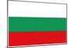 Bulgaria National Flag Poster Print-null-Mounted Poster