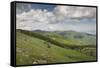 Bulgaria, Shipka, Ruins of the Soviet-Era Buzludzha Monument-Walter Bibikow-Framed Stretched Canvas