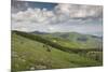 Bulgaria, Shipka, Ruins of the Soviet-Era Buzludzha Monument-Walter Bibikow-Mounted Photographic Print