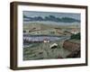 Bulgaria. Varna. Black Sea Sea. by E. Alba La Ilustracion Espanola Y Americana-null-Framed Giclee Print